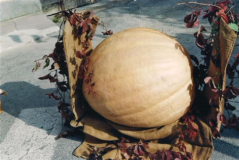 Sagra della castagna e del pisacan