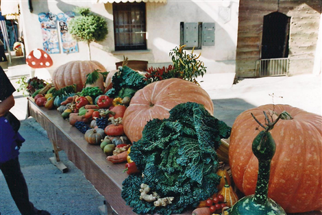 Sagra della castagna e del pisacan