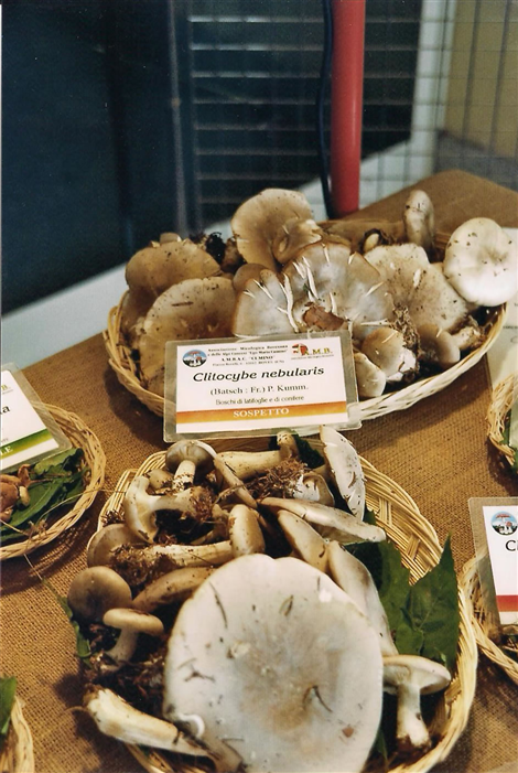 Sagra della castagna e del pisacan