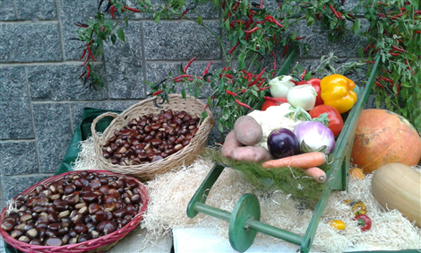 Colori, sapori e suoni dell'autunno