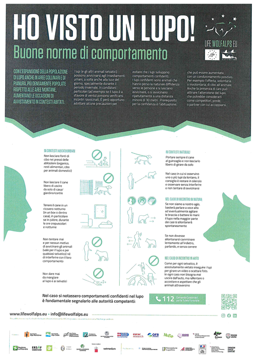 Norme di comportamento da adottare in caso di avvistamento di un lupo