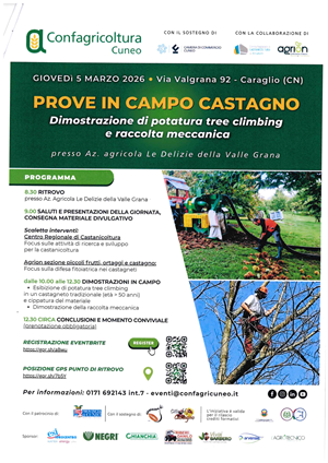 Prove in campo castagno